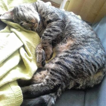 Jesteśmy tym, czym się otaczamy