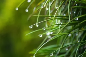 Potęsknić dobra rzecz